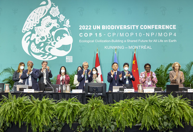 Global Biodiversity Framework