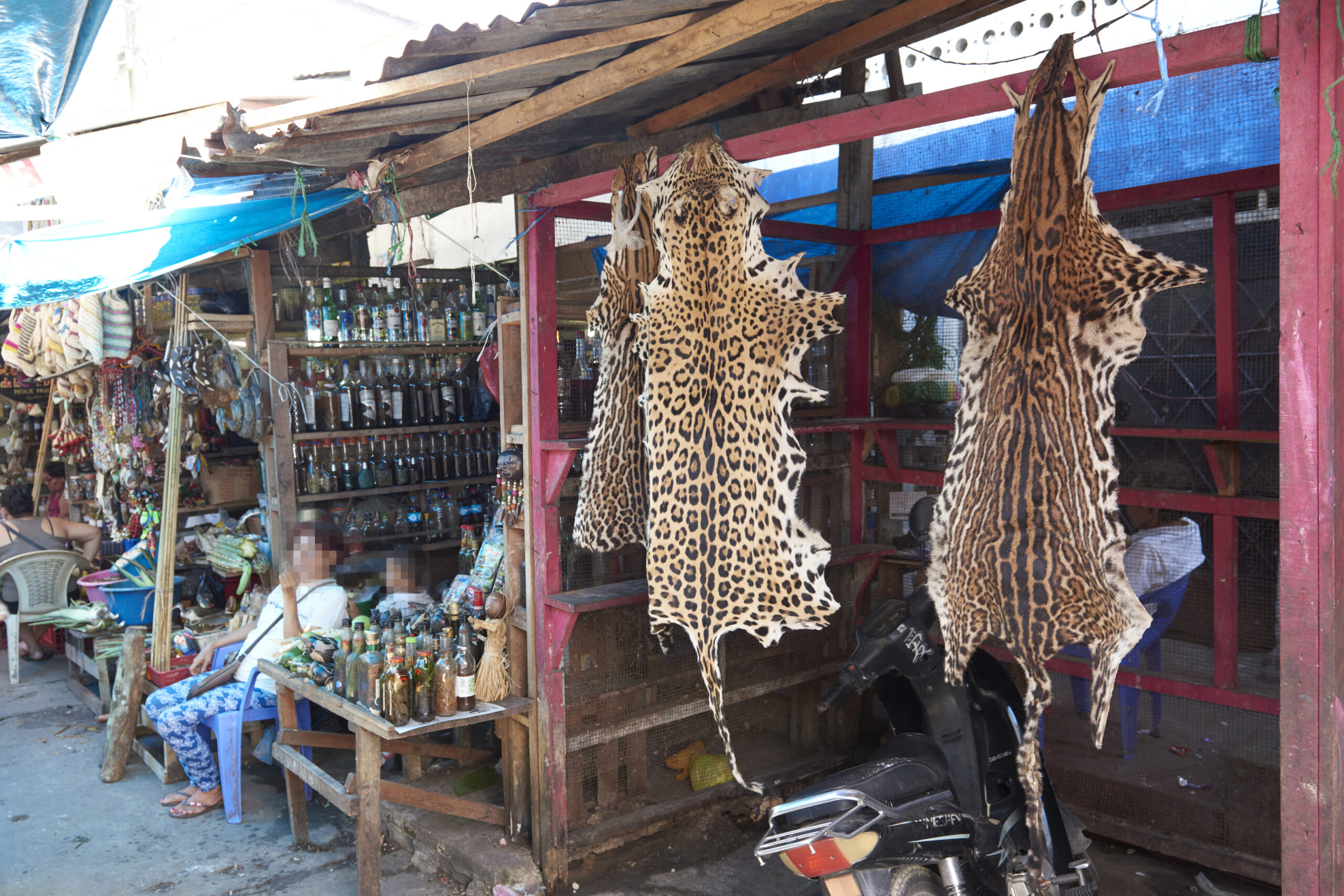 Wildlife Product